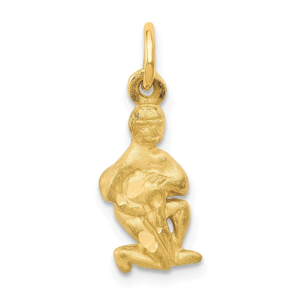 QC486 Aquarius 14k Diamond-cut Zodiac Satin Charm