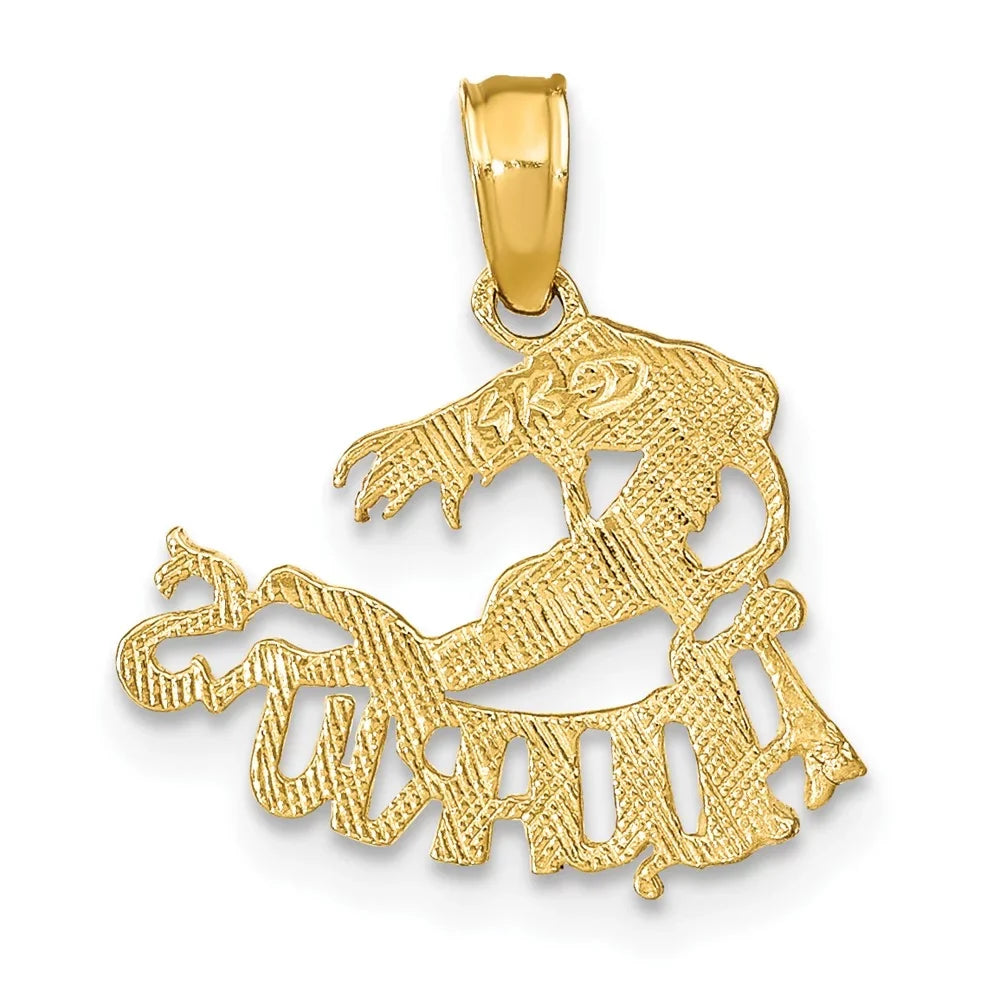 kt 16 x Charm Gold 10 Finejewelers 17 AQUARIUS Yellow Zodiac mm FJC