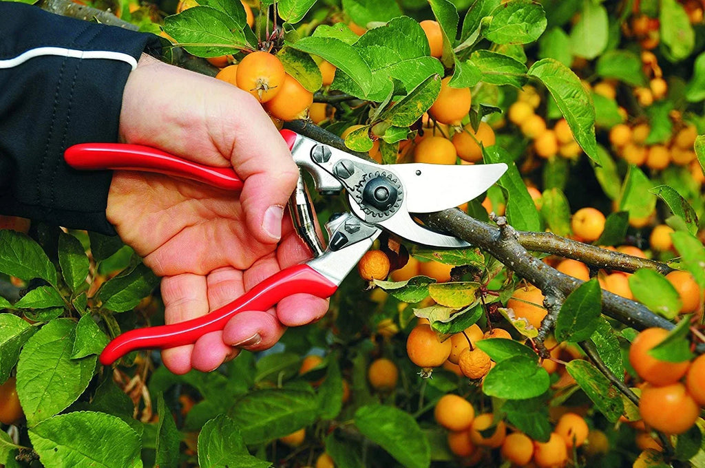 in. F9 Handed Left Pruner 5.25 Felco Bypass