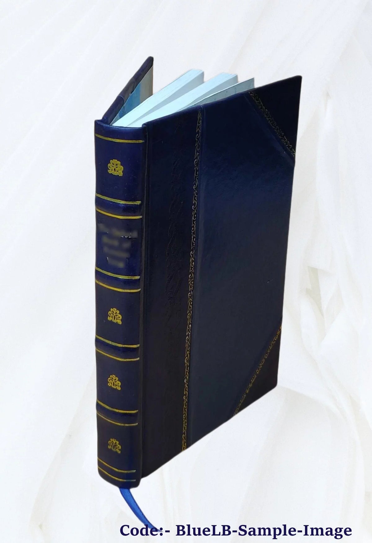 Volume 2 [Leather Silchester's 1873 Bound] whim Squire