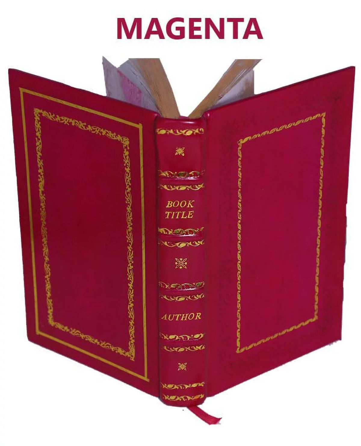 The Bound] King Clarence Leather helmet Mambrino of memoirs. 1904 [Premium