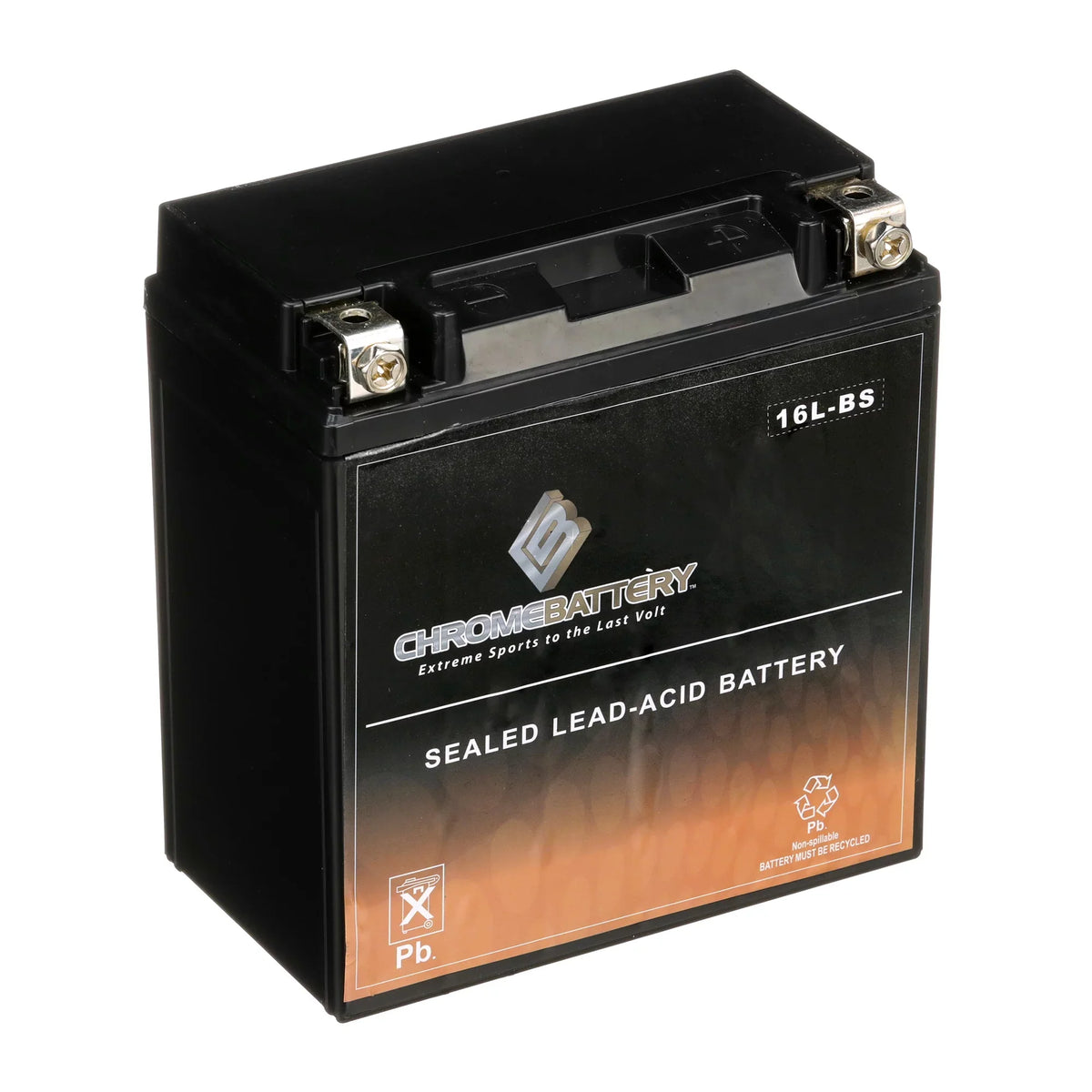 YTX16L-BS Ah, 230 Volt,14 for Sx 12 Js550 Ski Kawasaki (16L-BS Chrome 550cc 1995 Battery CCA) Jet Battery