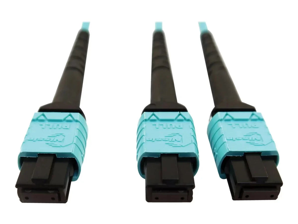 Optic (F) 125 - Tripp Multimode (F) 24F - MTP/MPO/PC OM4 (F/F), MTP/MPO-PC OM4 MTP/MPO-PC (x2) / m 400G - - Aqua, 50 cable Lite 50/125 micron 5 5 MTP/MPO/PC Eaton to m - Plenum Series - 12F fiber multi-mode to Fiber multi-mode Network - Cable, optic