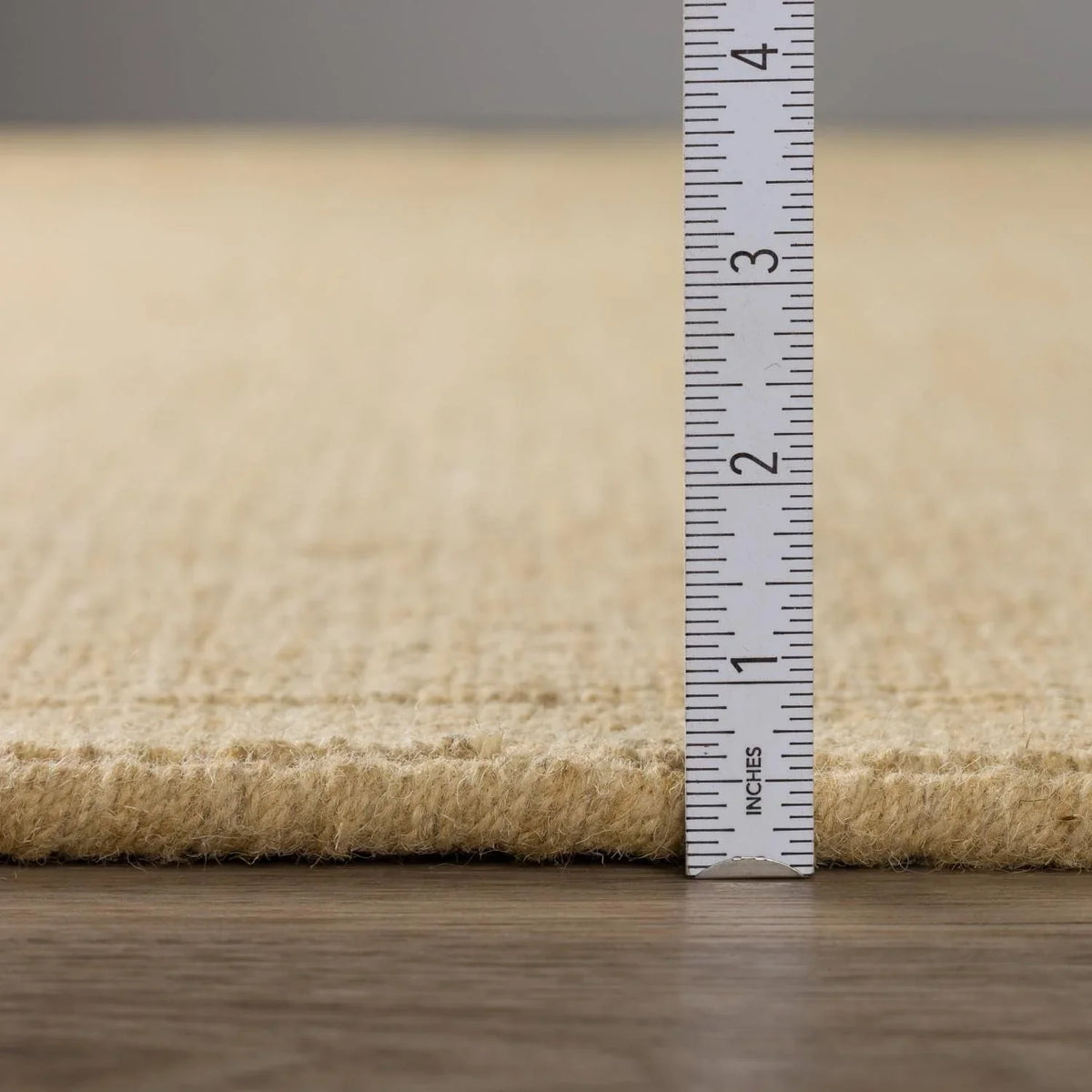 2'X3' Rug MC100HO2X3 MC100 Daylon Sisal