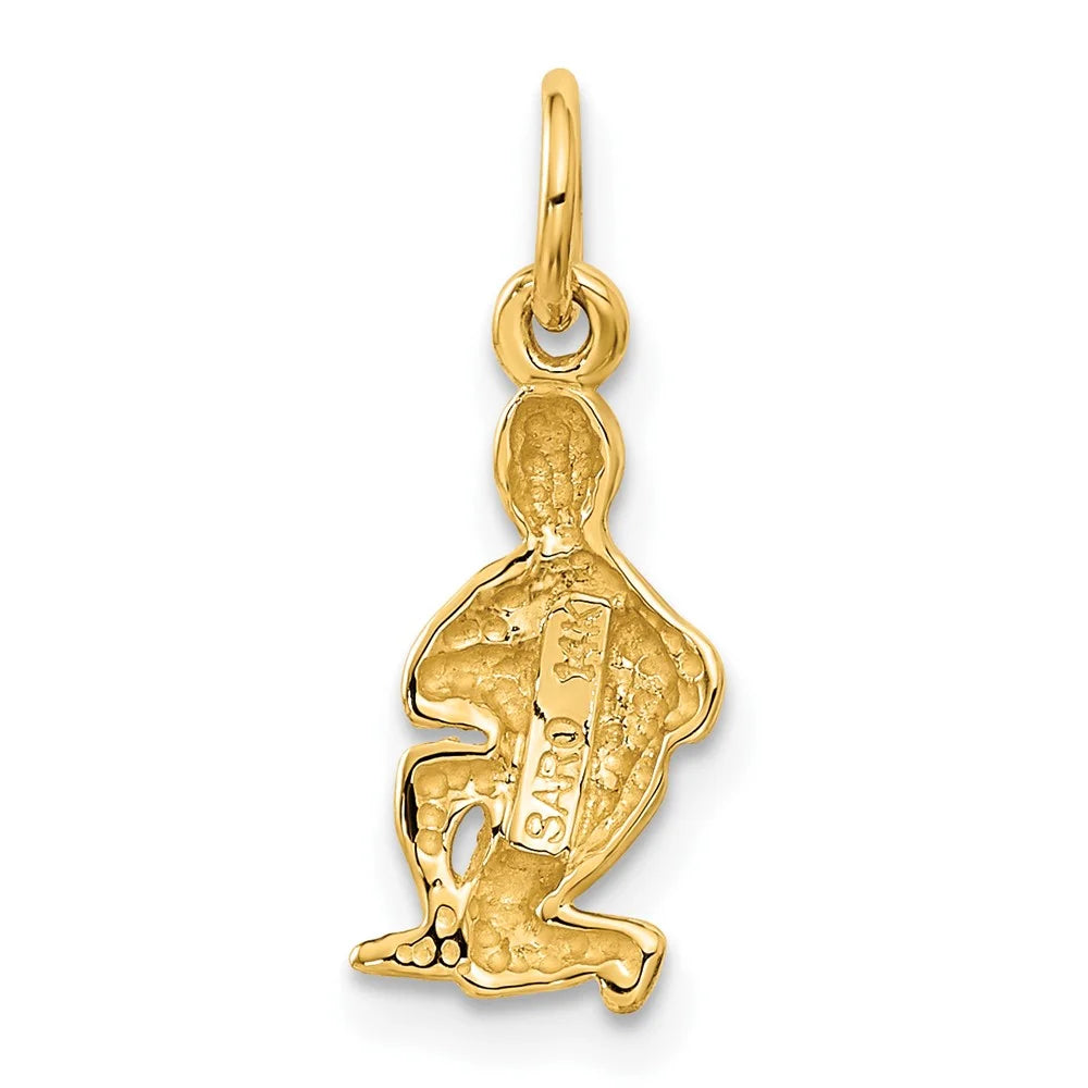 QC486 Aquarius 14k Diamond-cut Zodiac Satin Charm