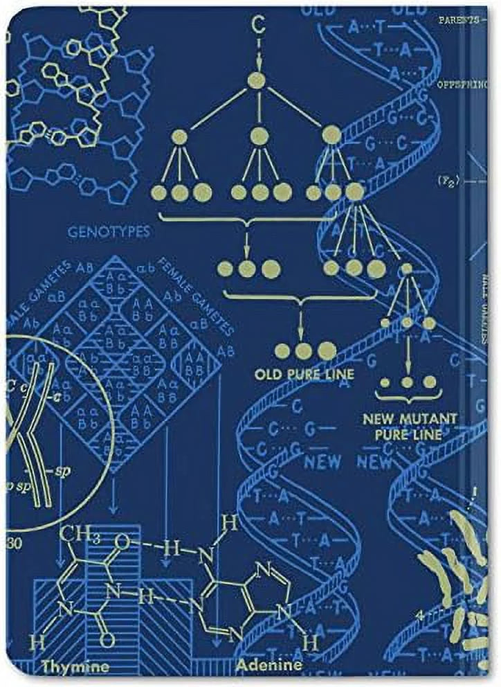 100% (Mini Notebook. Dot Hardcover, Grid Pages, DNA & Recycled) Genetics