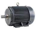 Frame 230/460 HP 184T Severe Phase Motor Electric TEFC 1800 RPM 3 Volt 5 Duty