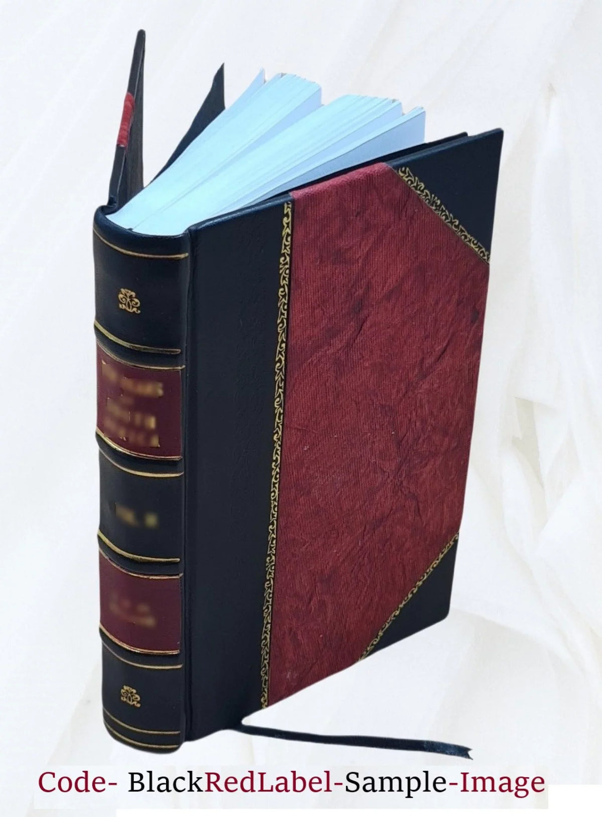 Volume 2 [Leather Silchester's 1873 Bound] whim Squire