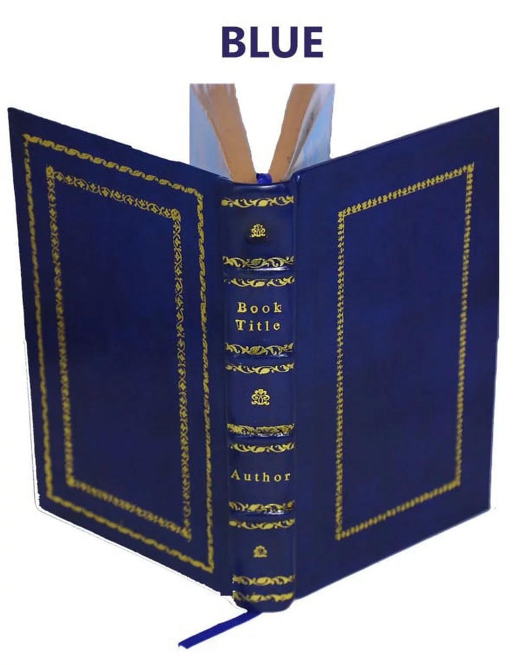 The Bound] King Clarence Leather helmet Mambrino of memoirs. 1904 [Premium