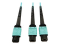 Optic (F) 125 - Tripp Multimode (F) 24F - MTP/MPO/PC OM4 (F/F), MTP/MPO-PC OM4 MTP/MPO-PC (x2) / m 400G - - Aqua, 50 cable Lite 50/125 micron 5 5 MTP/MPO/PC Eaton to m - Plenum Series - 12F fiber multi-mode to Fiber multi-mode Network - Cable, optic
