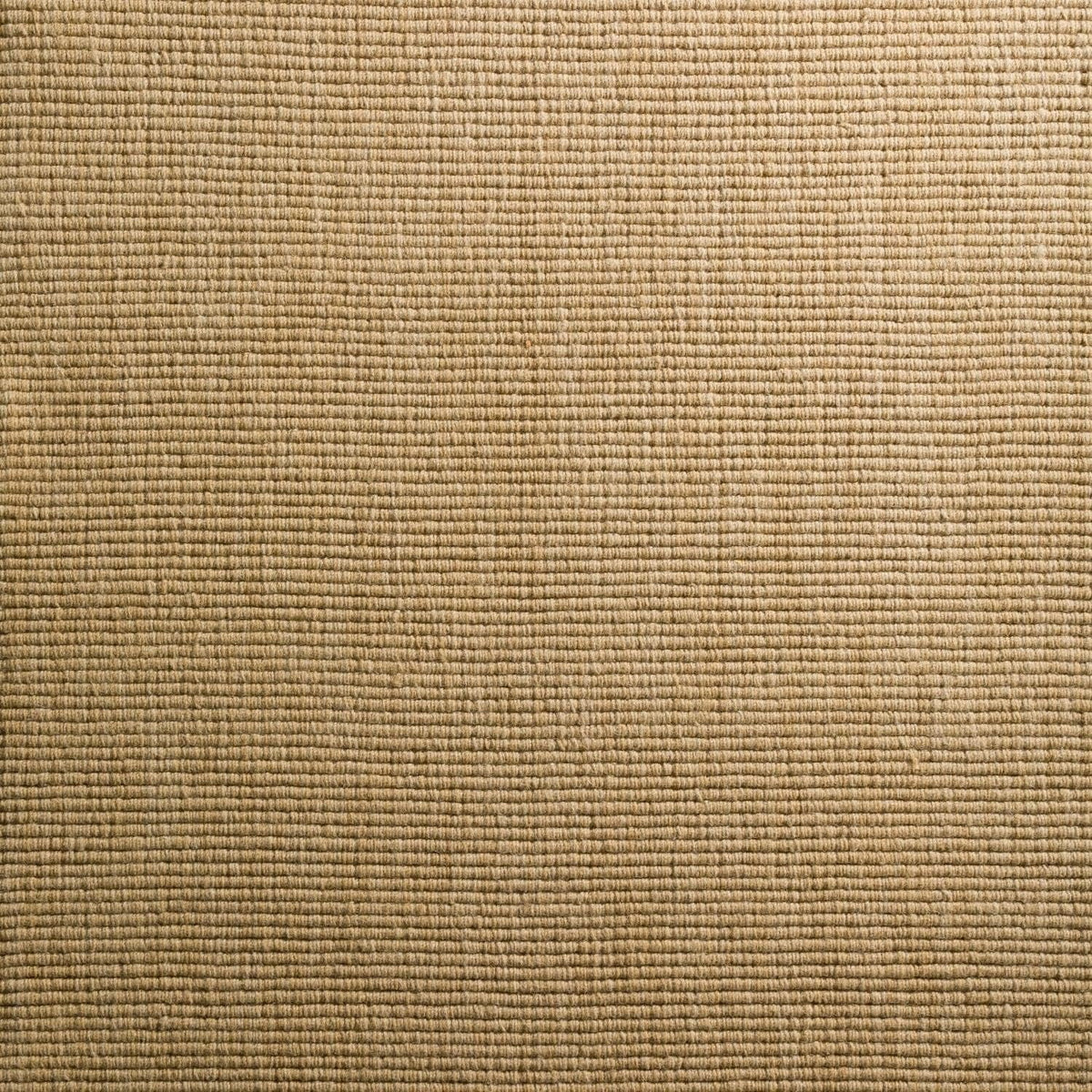 2'X3' Rug MC100HO2X3 MC100 Daylon Sisal