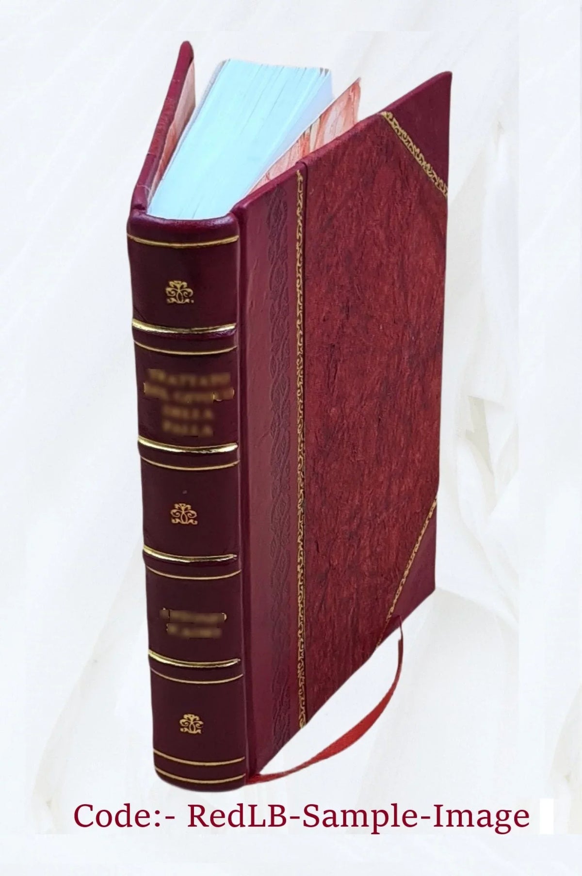 Volume 2 [Leather Silchester's 1873 Bound] whim Squire