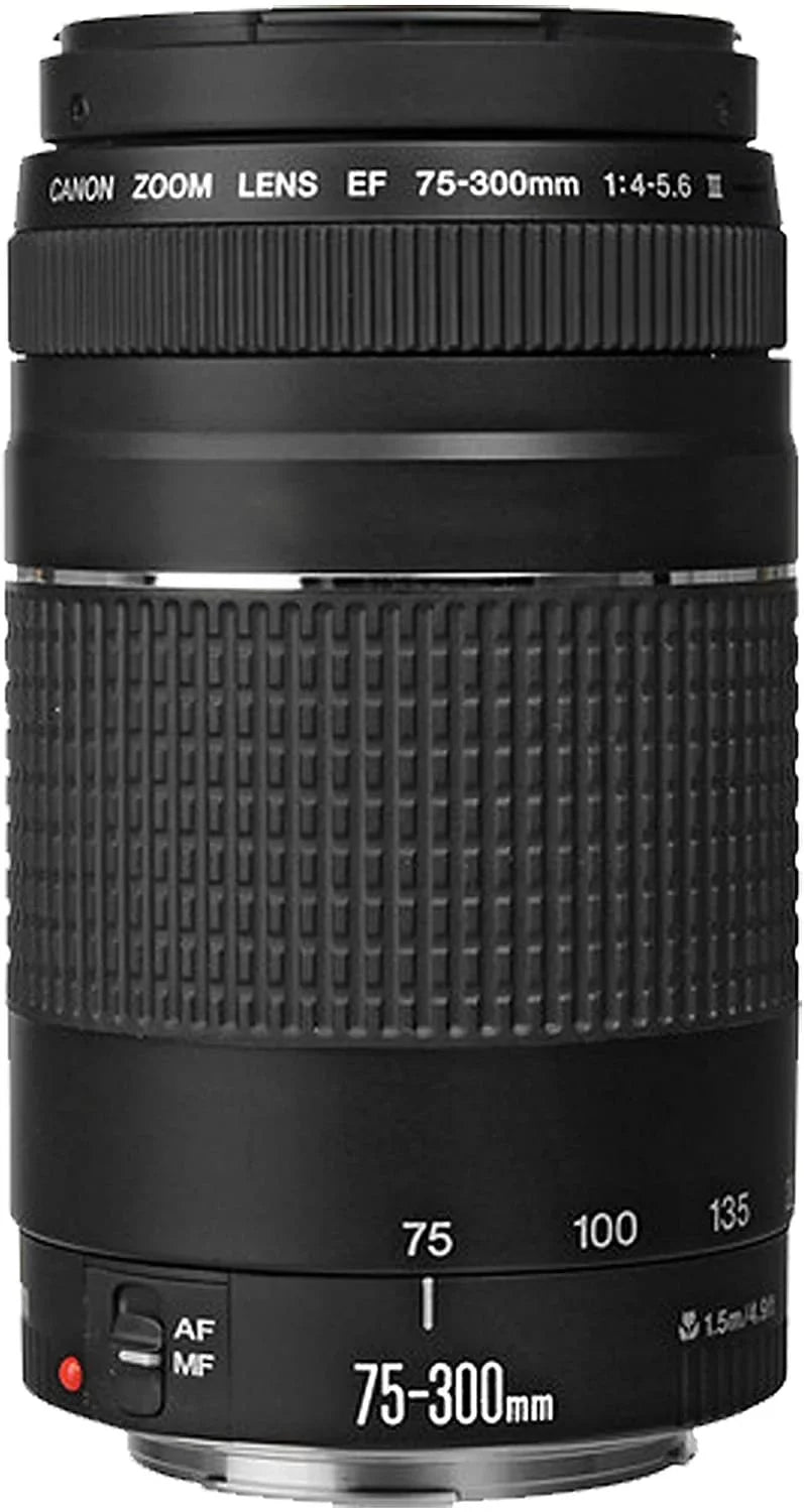 Lens + f/4-7.1 Case RF R6 Digital 50mm + Filters Lens 43pc III Canon Mirrorless STM STM + 24-105mm + Lens Camera 75-300mm F/4-5.6 Bundle f/1.8 128GB Memory Tripod with + + EOS