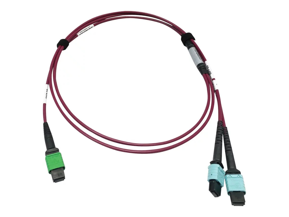 cable - 400G Network Plenum - (x2) Magenta, 16F fiber Cable, - micron Eaton multi-mode multi-mode - Multimode - MTP/MPO-UPC - 3 OM4 Optic MTP/MPO-APC 3 optic Lite / MTP/MPO/UPC (F/F), to 125 MTP/MPO/APC Series (F) 12F Fiber 50/125 (F) 50 m Tripp to m