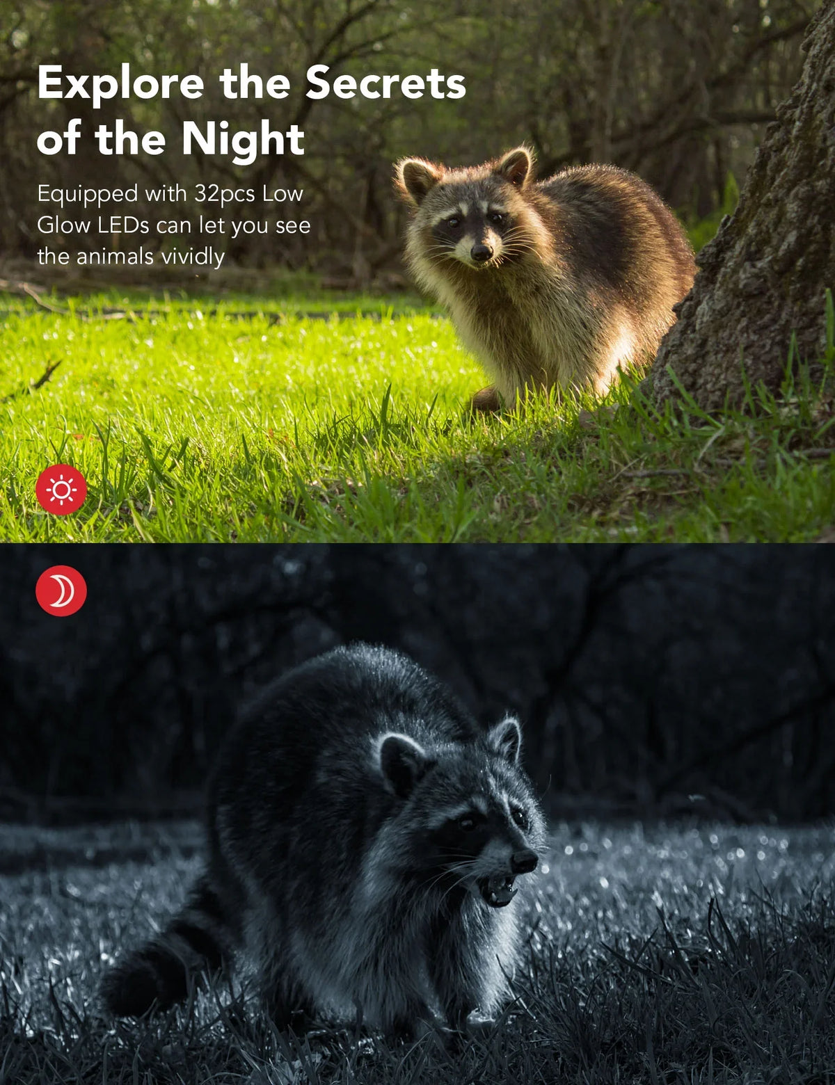 Outdoor Security Night IP66 Trail Trigger Game Infrared Detection HC520 Victure LEDs Camera 120° Camera Angle with Vision with 0.3' 4K/30MP Speed Waterproof for