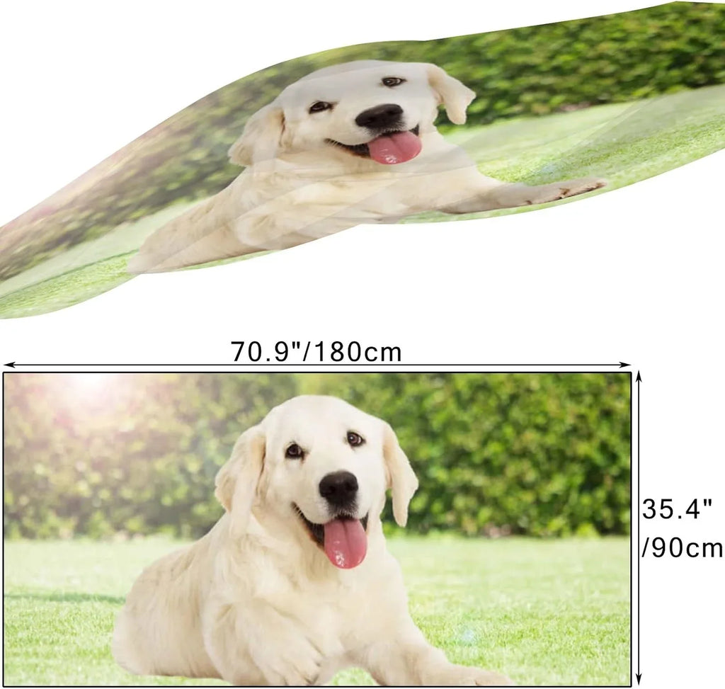 Wrap Silk Looking Neck Scarves Long Women Girls Shawl for Golden Retriever Hyjoy Scarf Outdoors Lightweight