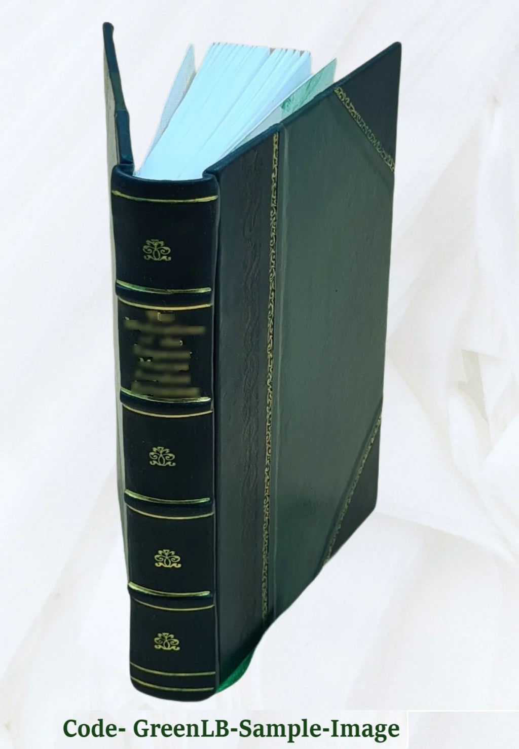 Volume 2 [Leather Silchester's 1873 Bound] whim Squire