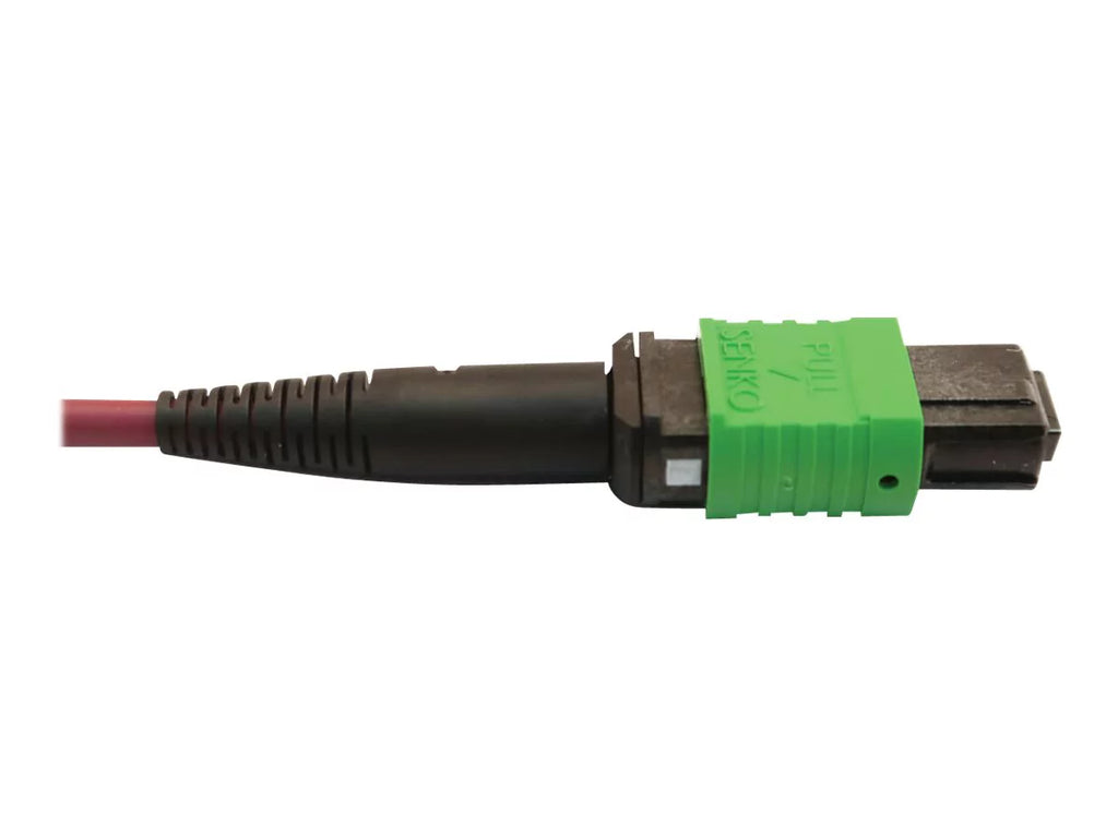 cable - 400G Network Plenum - (x2) Magenta, 16F fiber Cable, - micron Eaton multi-mode multi-mode - Multimode - MTP/MPO-UPC - 3 OM4 Optic MTP/MPO-APC 3 optic Lite / MTP/MPO/UPC (F/F), to 125 MTP/MPO/APC Series (F) 12F Fiber 50/125 (F) 50 m Tripp to m