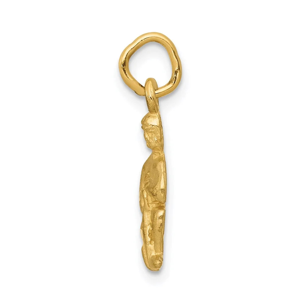 QC486 Aquarius 14k Diamond-cut Zodiac Satin Charm