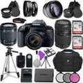 Lens||Tamron T7i w/ SLR Canon AF 70-300mm Telephoto Bundle 18-55mm EOS Lens STM ||Accessory f/4-5.6 Camera Autofocus IS EF-S Zoom Rebel Digital